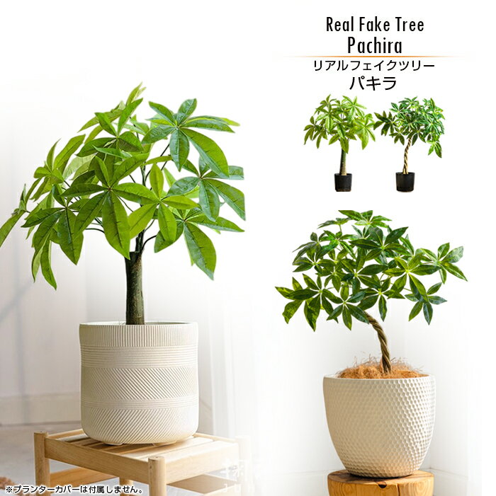 楽天市場】インダストリアル（花・観葉植物｜花・ガーデン・DIY）の通販