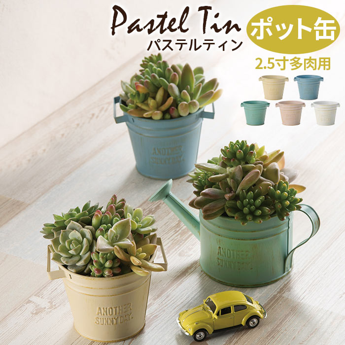楽天市場】植木鉢 パステルカラーの通販