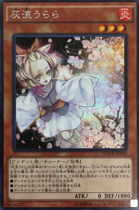 macr-jp036sec.jpg
