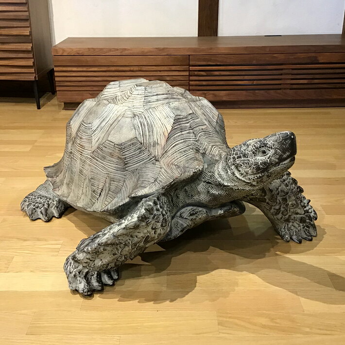 楽天市場】リアル カメの通販