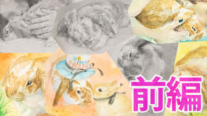 うさぎさんをたくさん描きました。前編。｜木彫りうさぎのパパ。ティム