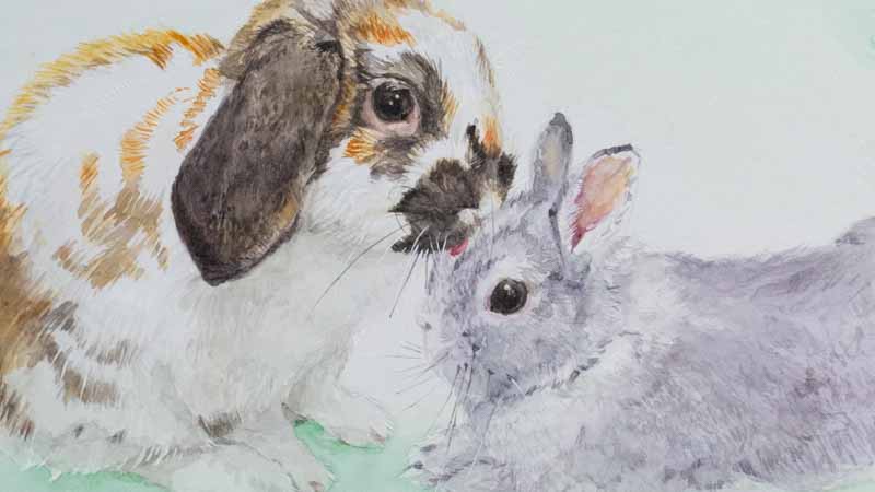 うさぎさんの似顔絵ミニ（原画）オーダーにつきまして｜木彫りうさぎの