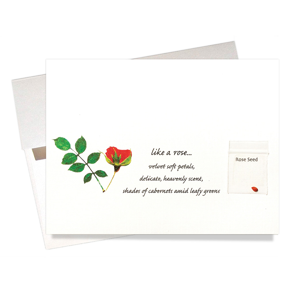 Rose Seed