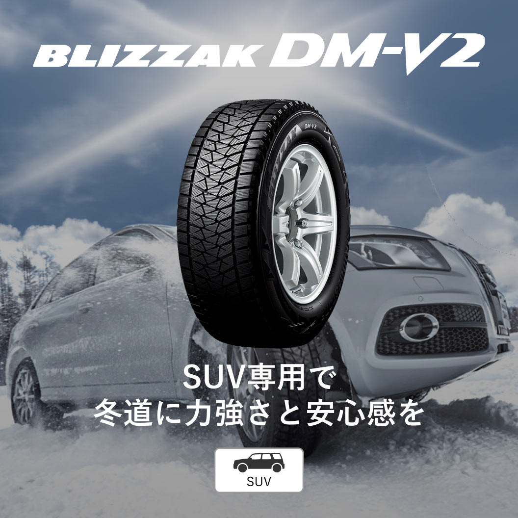 BLIZZAK DM-V2 275/45R20 110Q XL｜ブリヂストン タイヤオンラインストア