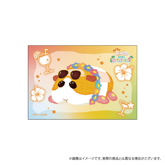 PUI PUI モルカー きらきらビーチパーティー スクエアマグネット（全10