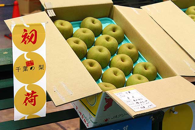 生産量日本一の千葉県産 梨 待望の初出荷！ JA長生 一宮・岬梨組合の幸