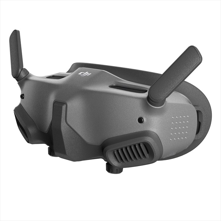DJI Goggles 2 Motion Combo (DJI RC Motion 2)