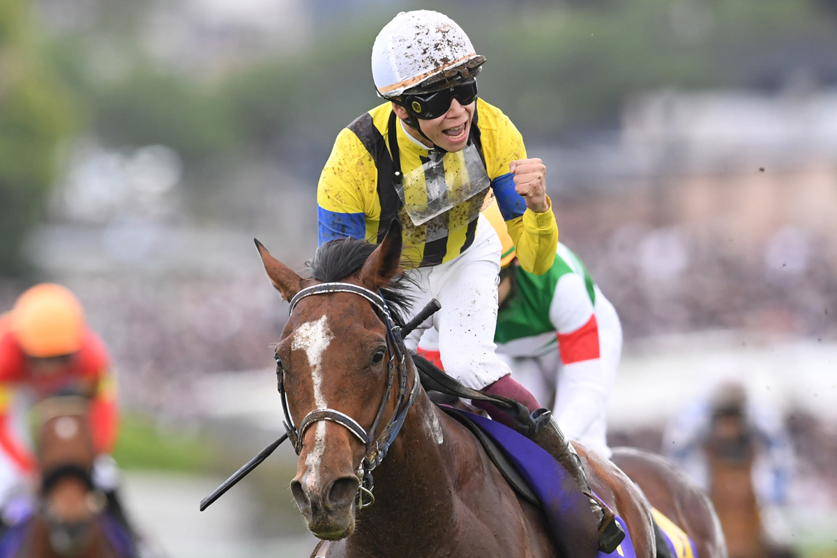 ジャパンC14着のソールオリエンスは2・16京都記念での復帰を視野
