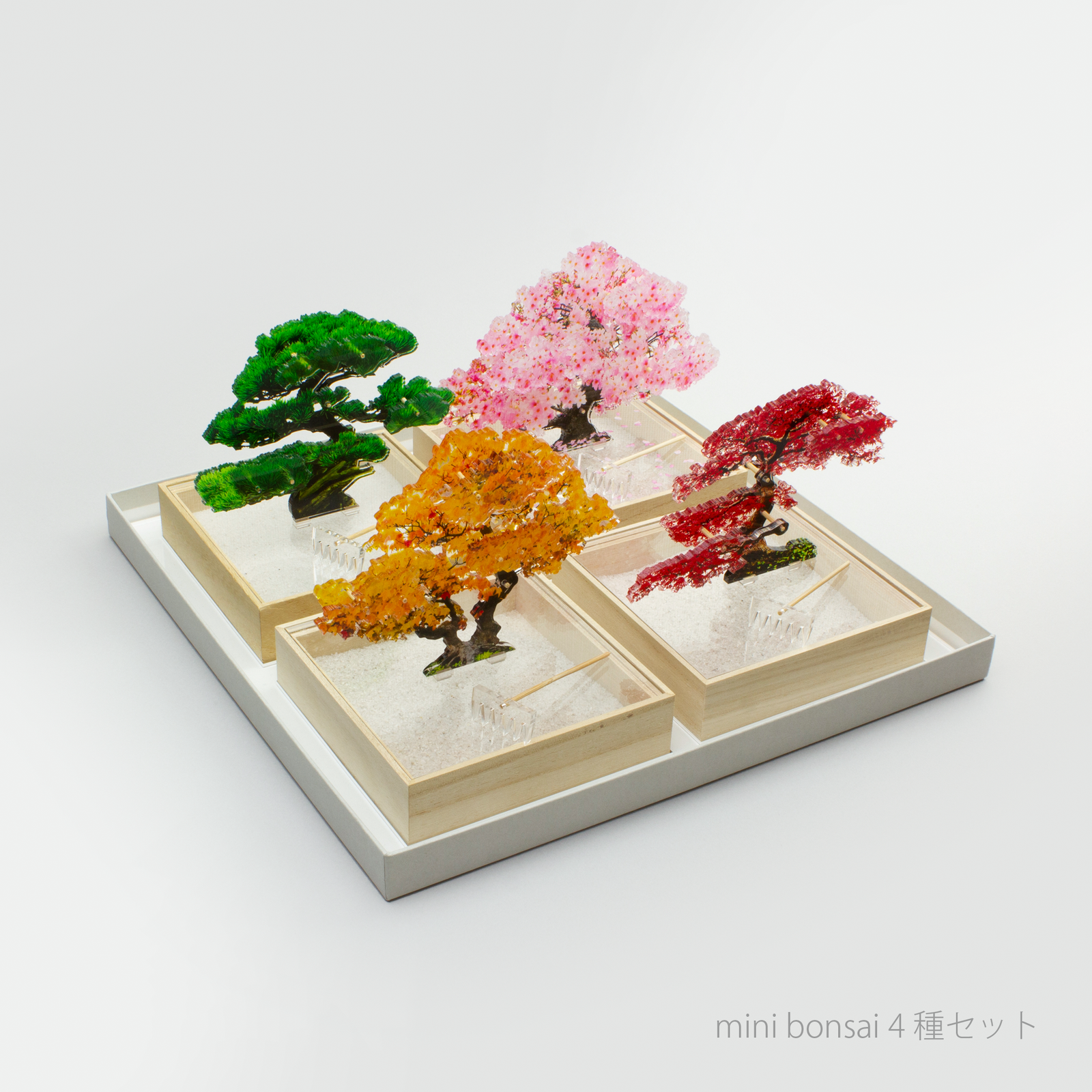 minibonsai4set_02_e38a0eb0-