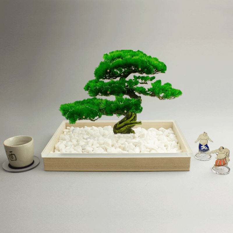 bonsai Sサイズ 松 | toumei online store
