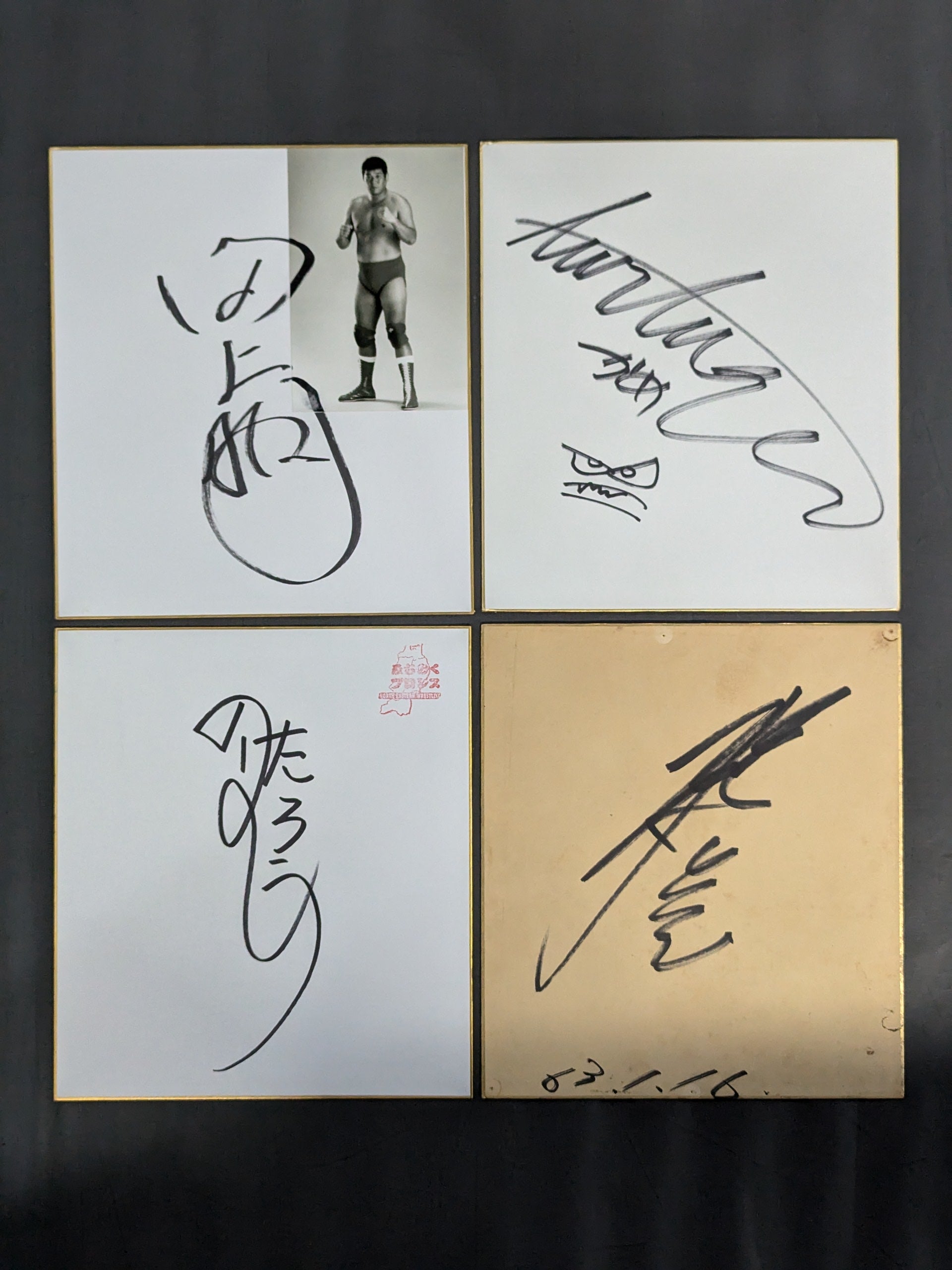 国内プロレスラー サイン色紙セット⑥ – 闘道館