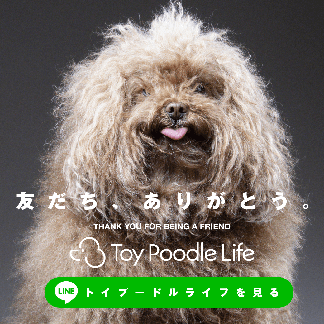 可愛すぎてスマホそっ閉じ】クマがクマ抱っこして寝てる…？と思いきや