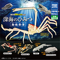 深海のひみつ 海・底・世・界 【タカラトミーアーツ】