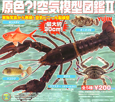 原色淡水魚ストラップ＆原色?空気模型図鑑 【タカラトミーアーツ】