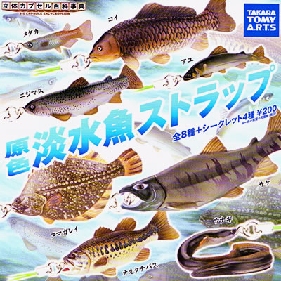 原色淡水魚ストラップ＆原色?空気模型図鑑 【タカラトミーアーツ】