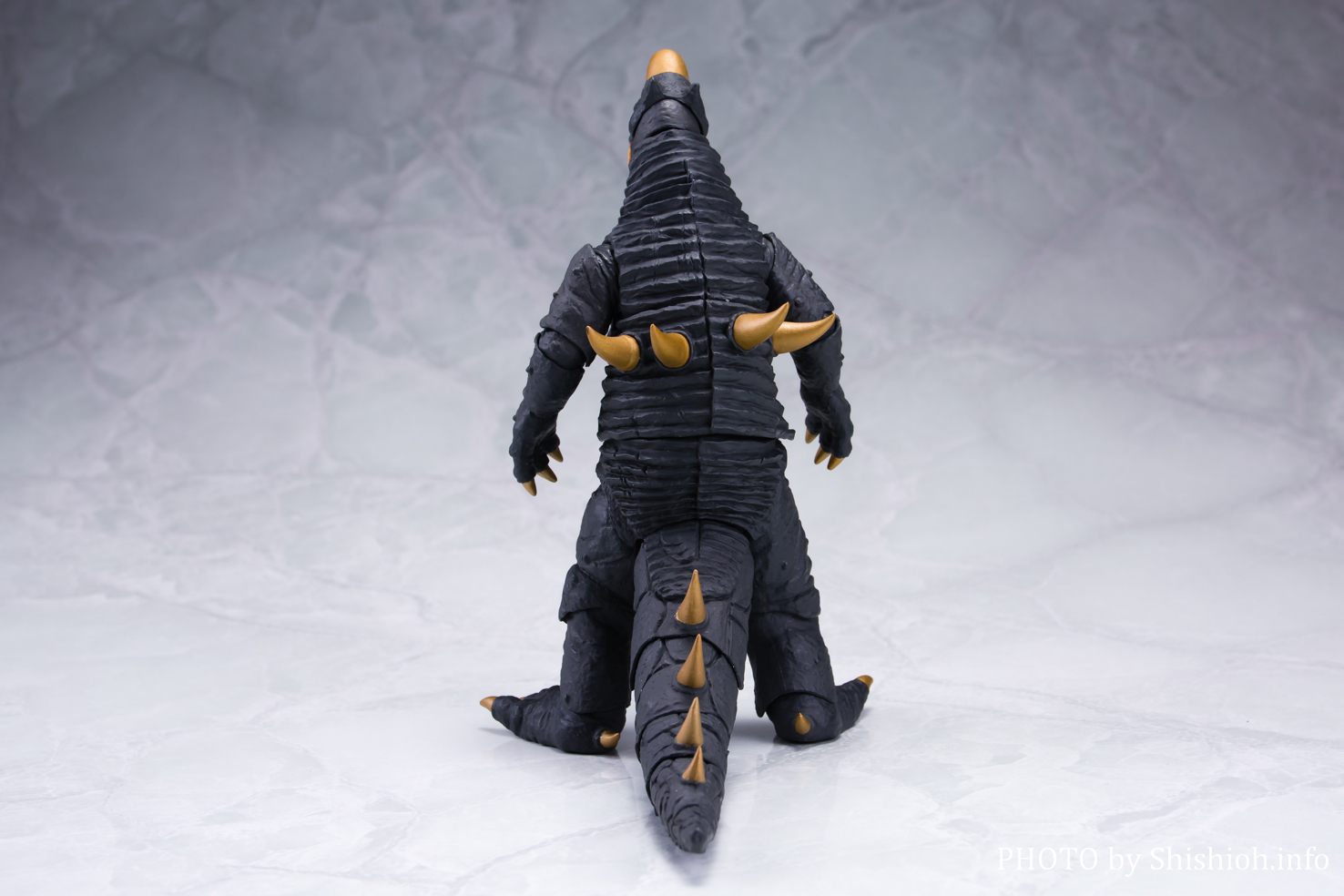 レビュー】 S.H.Figuarts ブラックキング