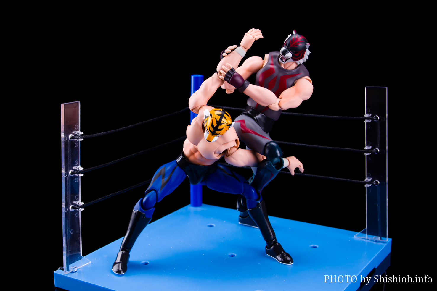レビュー】S.H.Figuarts タイガー・ザ・ダーク