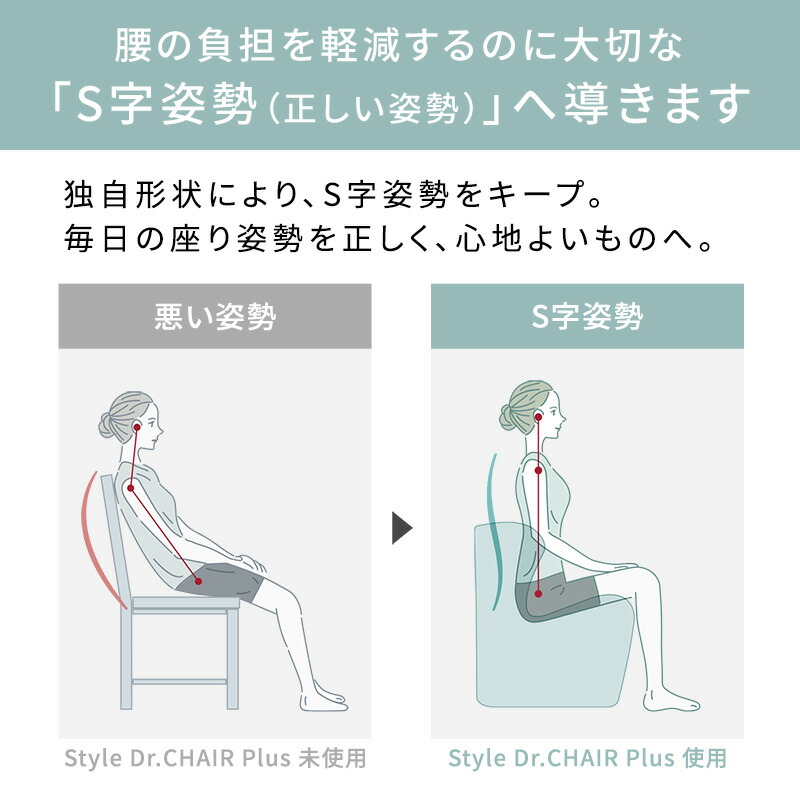 楽天市場】スタイルドクターチェアプラス Style Dr.CHAIR Plus 敬老の