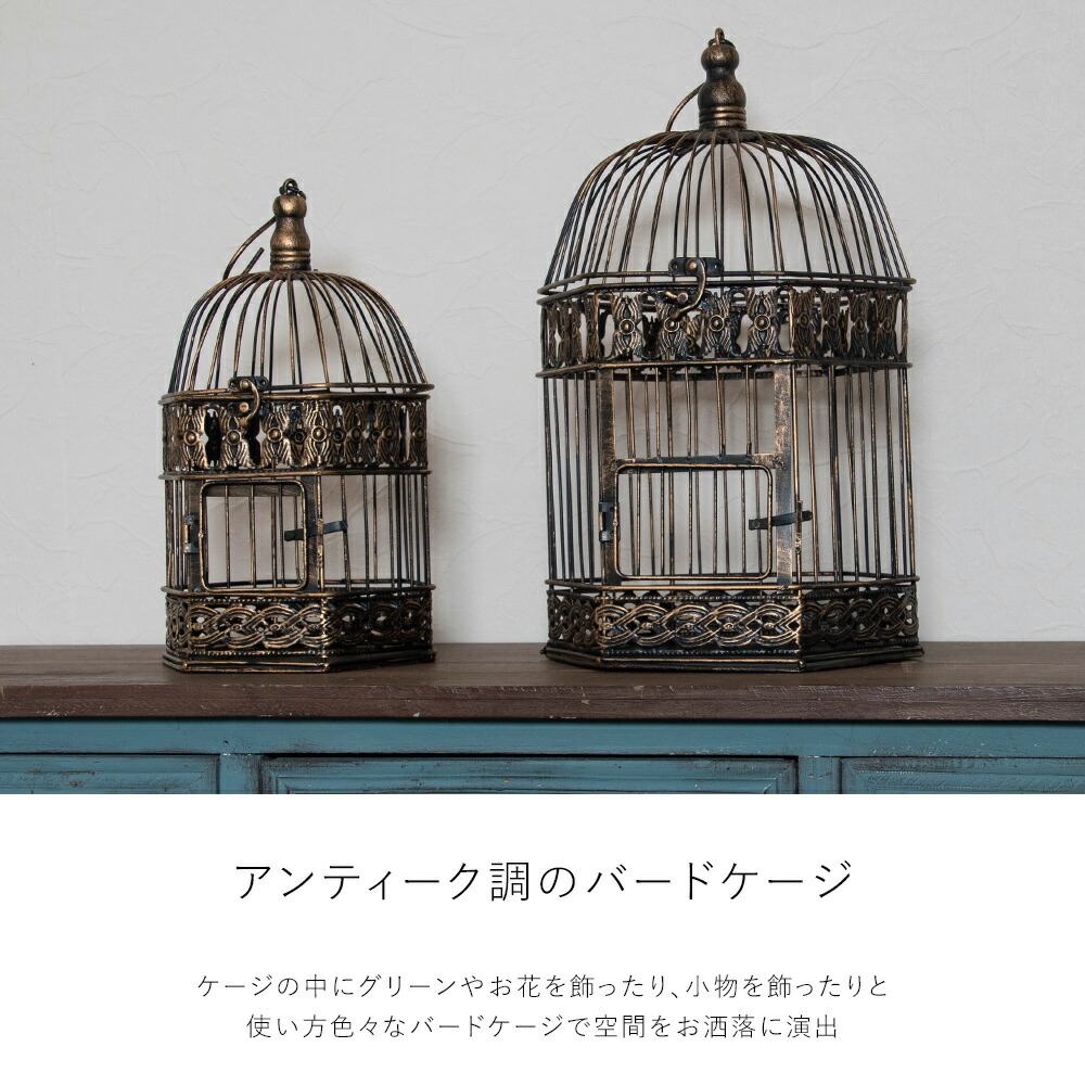 楽天市場】【楽天マラソン限定クーポン配布中】鳥かご インテリア 鳥籠
