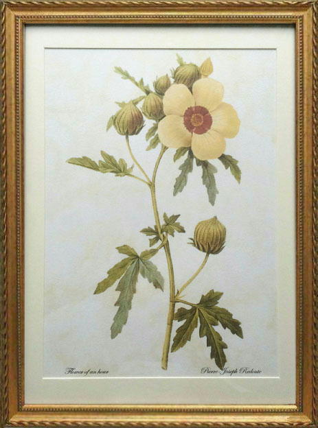 楽天市場】Pealimo インテリア 絵画 植物 ピエール ジョゼフ
