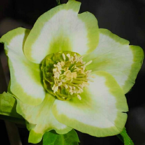 imgrc0092109766.jpg