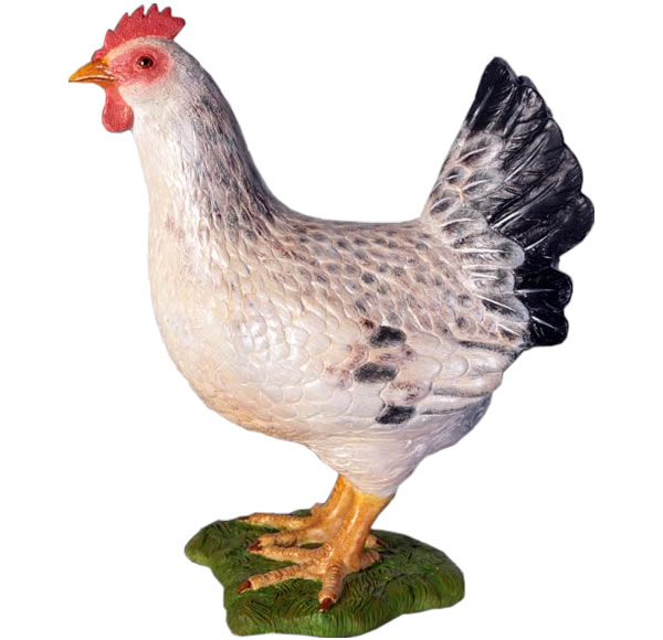 楽天市場】白い雌鳥 Hen White 強化プラスチック (FRP) アートオブジェ