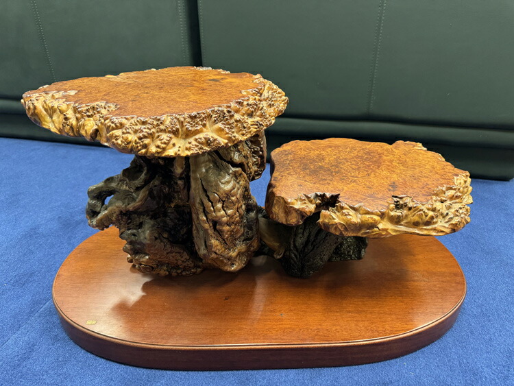 楽天市場】送料無料 木の根 飾り台 W75cm 高級 花台 盆栽卓 根卓 飾台