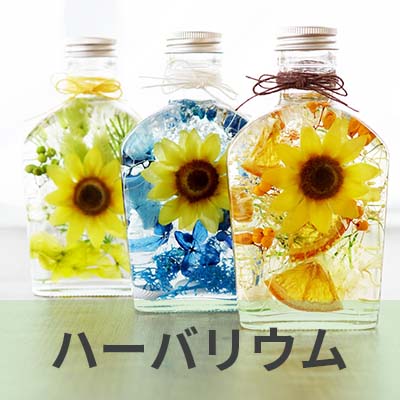 ハーバリウム 3個セット ハーバリウム キット (06) 3本セット 7カラー 瓶 プレゼント 誕生日 母