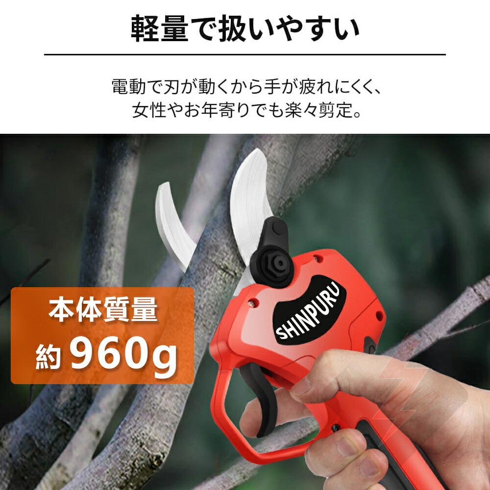 楽天市場】【2/25までエントリーで最大100%Pバック】【楽天1位5冠達成