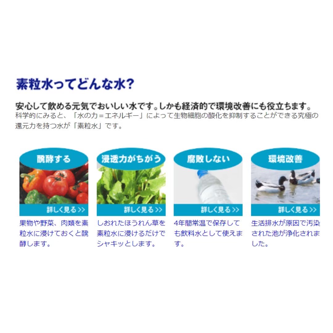 楽天市場】＼楽天3位受賞／【期間限定ポイント10倍☆】 2つの