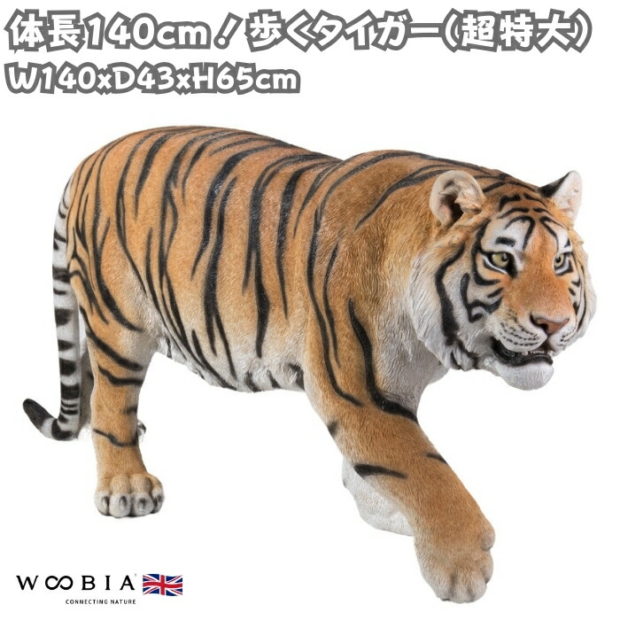 h17426-ss1.jpg