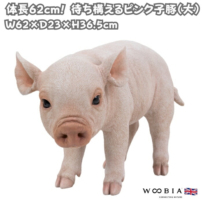楽天市場】置物 待ち構えるピンク子豚 大 ブタグッズ 高さ36.5cm 巨大