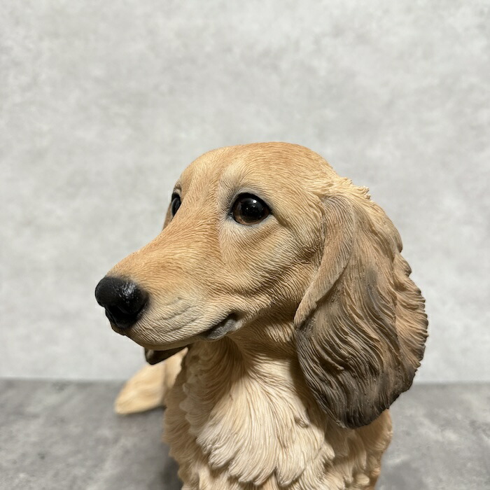 楽天市場】犬 置物 大きい ダックスフンド クリーム 大 高さ24cm