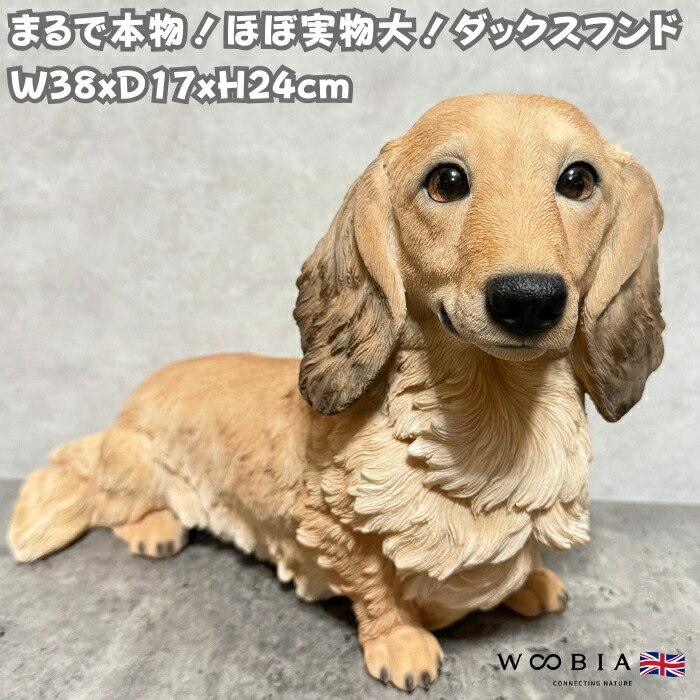 楽天市場】犬 置物 大きい ダックスフンド クリーム 大 高さ24cm