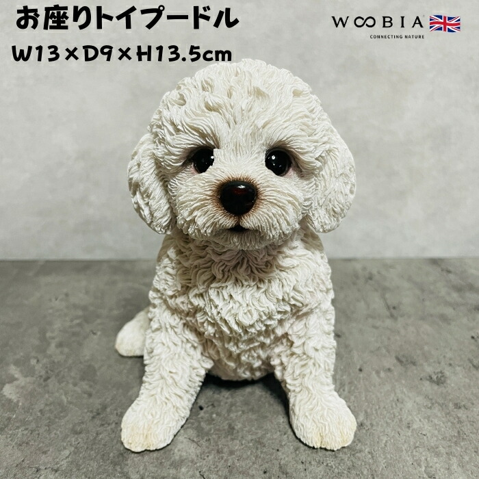 楽天市場】トイプードル 雑貨（カラーホワイト）（インテリア・寝具