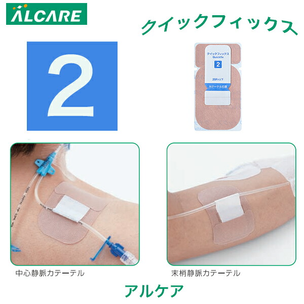 楽天市場】＼ ポイント2倍！！／ 全国送料無料 当日出荷【2号
