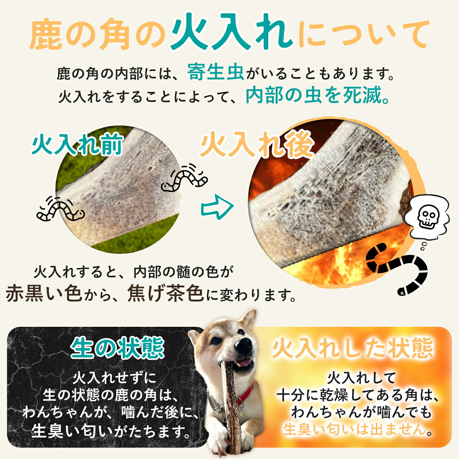 楽天市場】【 20cm 大型犬 】鹿の角 犬 おもちゃ 犬用 しかのつの 噛む