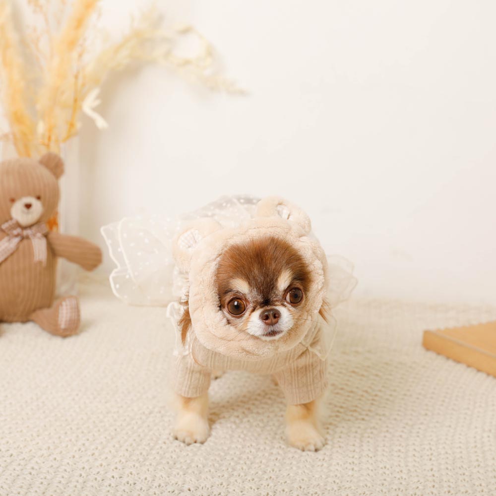 楽天市場】【LINE追加10%OFFクーポン】 moncheri モンシェリ 犬