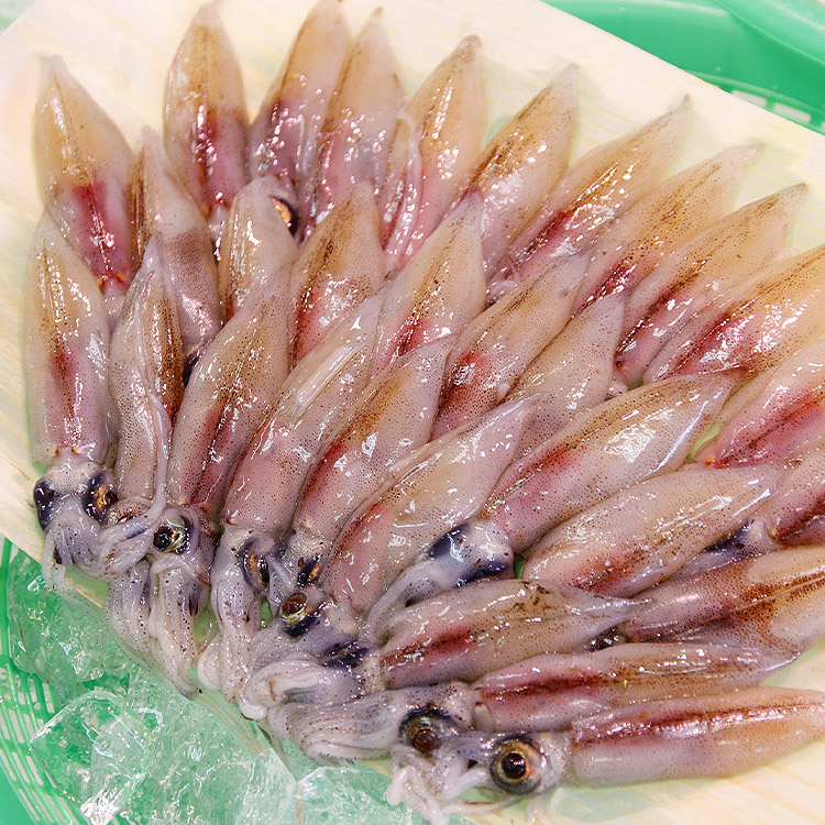 楽天市場】ホタルイカ 生 刺身 生食 20尾入り 3パックセット ほたる