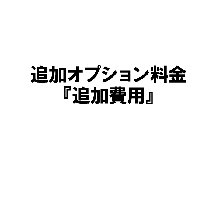 楽天市場】名入れ プレゼント ギフト 追加オプション料金 『追加費用