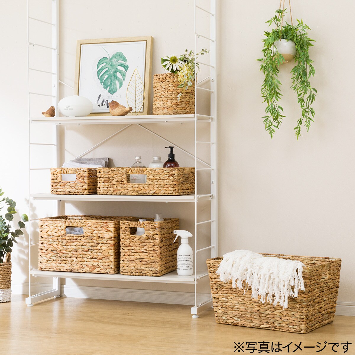 楽天市場】自然素材バスケット ムスカ ニトリ 【玄関先迄納品】 : ニトリ