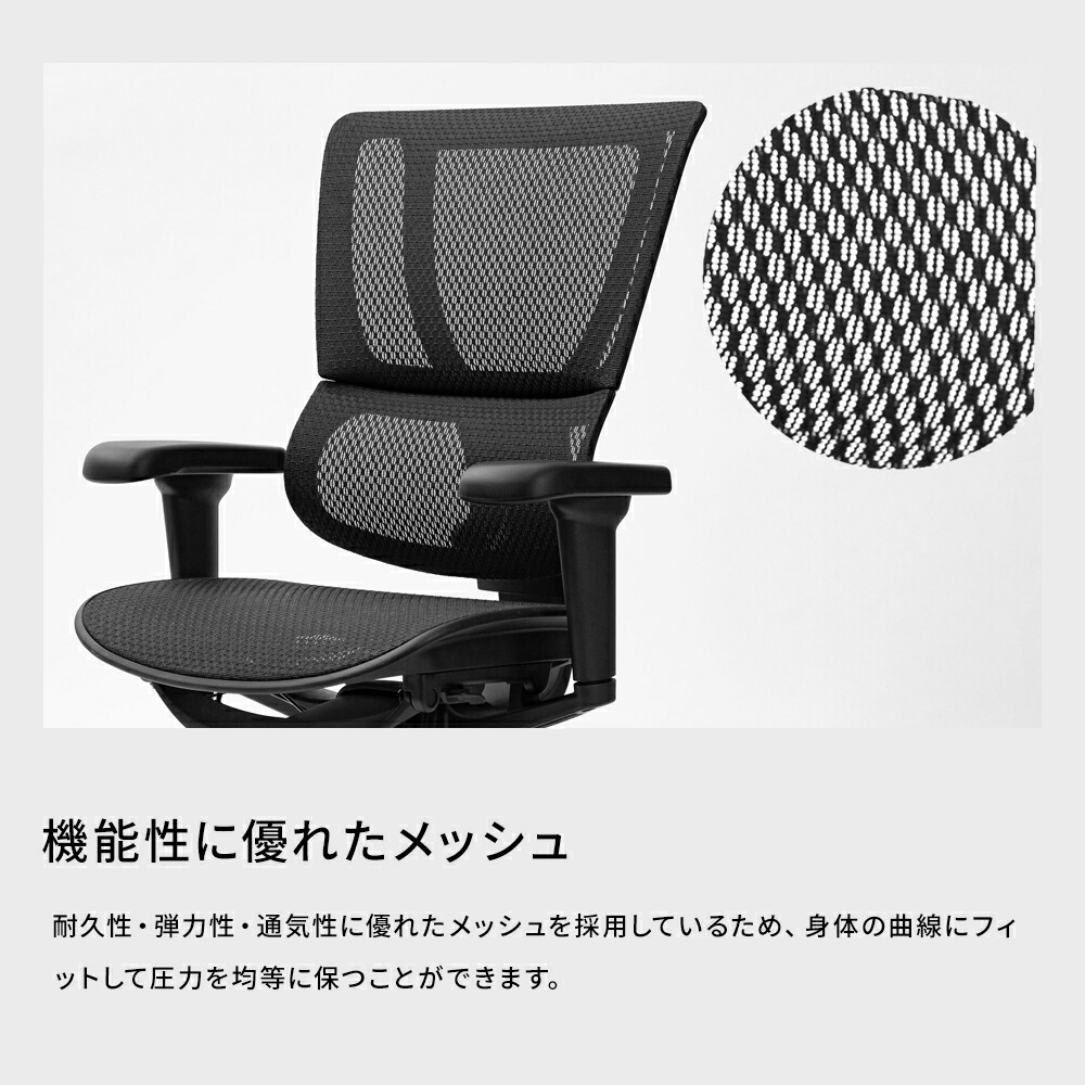 楽天市場】25/5/発売新モデル 【お客様組立品・在庫品即納】エルゴ