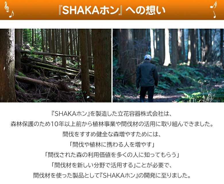 楽天市場】SHAKAホン カホン ストルモック シャカホン 打楽器