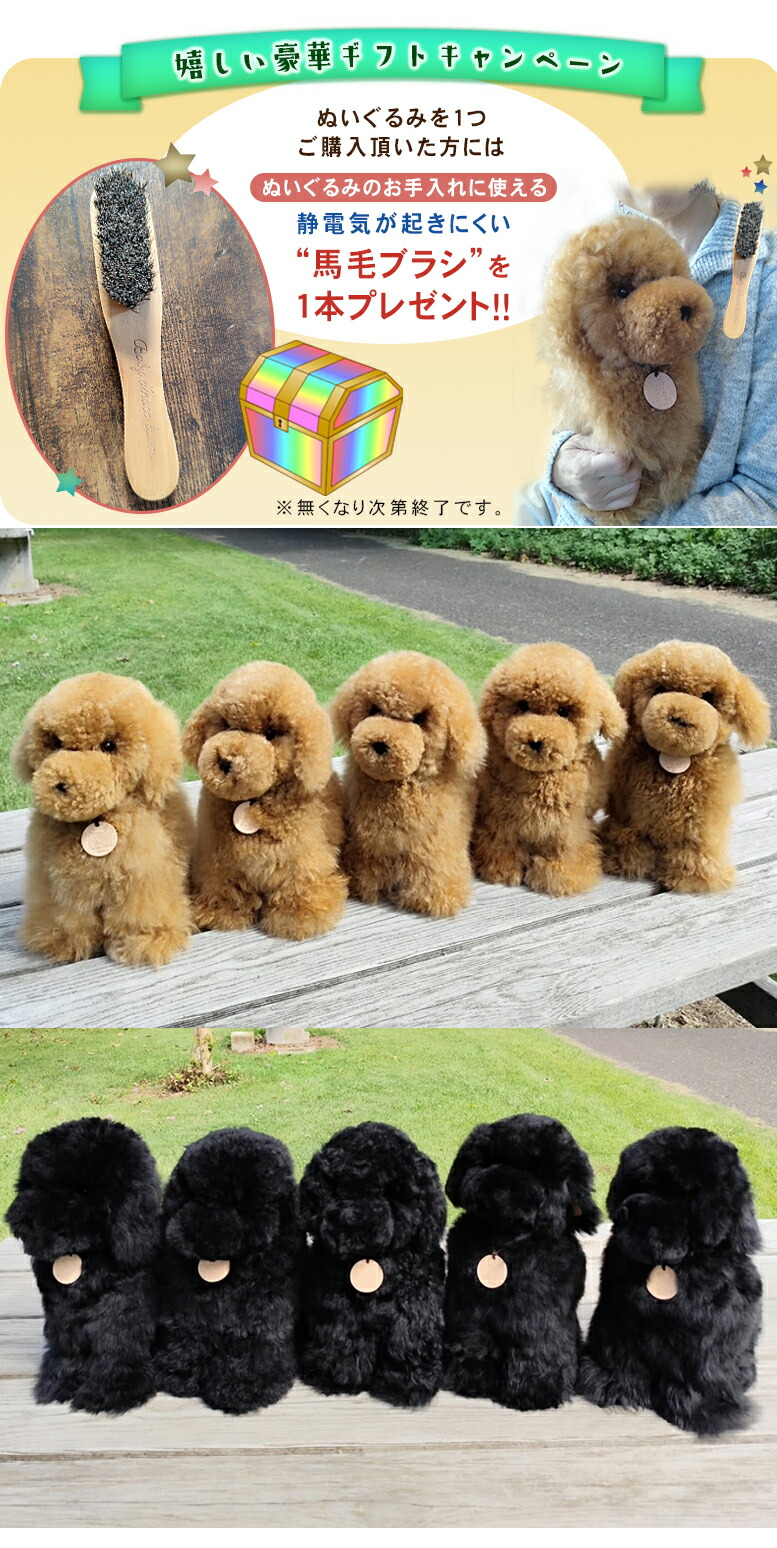 楽天市場】トイプードル 犬 ぬいぐるみ リアル Baby alpaca fuwari