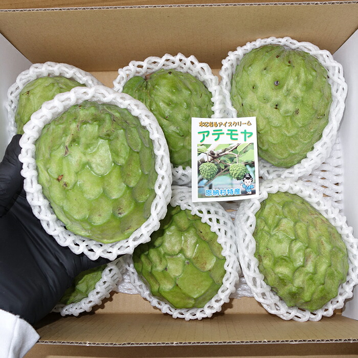 楽天市場】【送料無料】優品 アテモヤ 1kg （2～6玉） 発送12月中旬頃