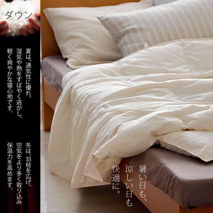 downket-ki001.jpg