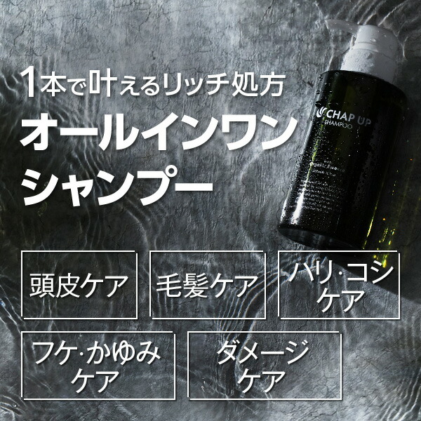 楽天市場】公式 チャップアップ CHAP UP シャンプー メンズ ボトル
