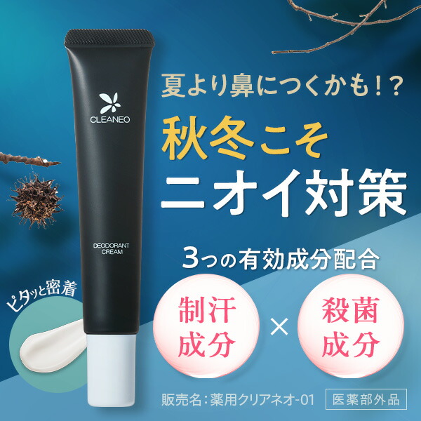 楽天市場】【50％OFFクーポン配布中☆ 2/23 01:59まで】【全額返金保証