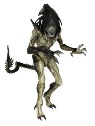 楽天市場】Movie Masterpiece AVP2 プレデリアン ( 1/6スケール