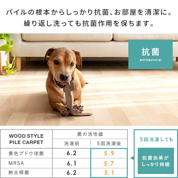 楽天市場】【2/20限定！最大5,000円OFFクーポン配布中】 パイル